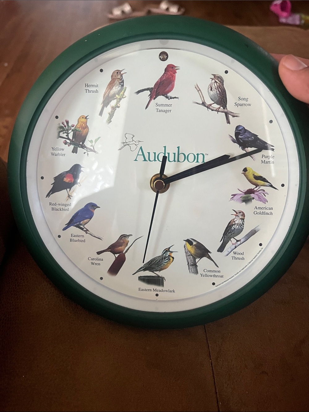 Audubon Society Singing Bird Clock 7” green frame WORKING CONDITION H